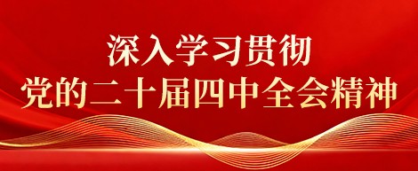 深入学习贯彻党的二十届四中全会精神